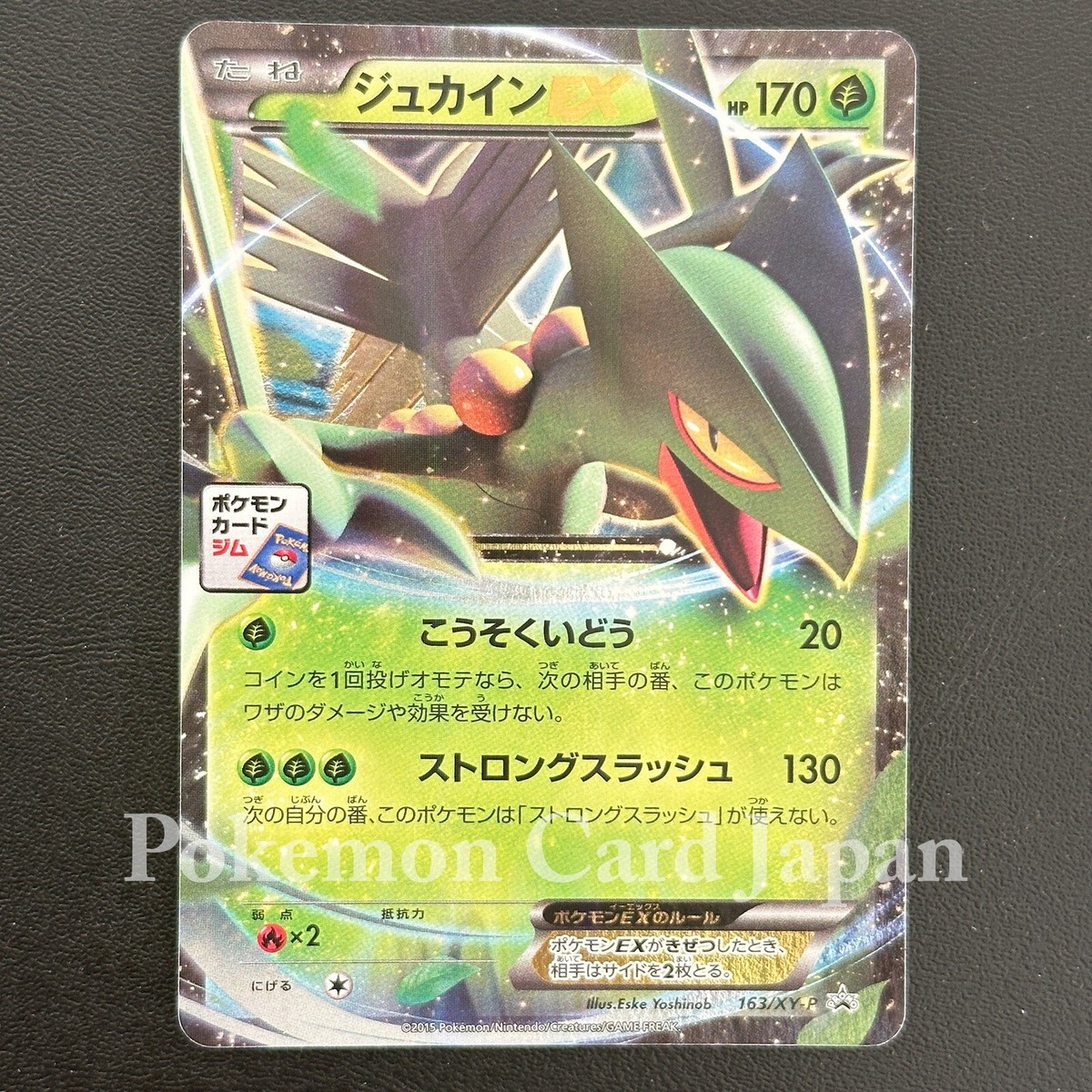 Sceptile EX 163/XY-P Japanese Pokemon Card Gym Pack Promo