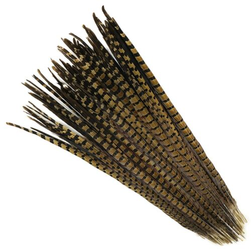 English Ringneck PHEASANT Tail Natural Feathers 10-100 Pcs MANY SIZES 6-28" New! - Picture 17 of 30
