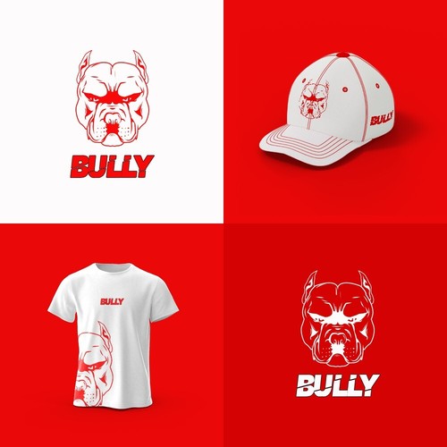 PROFESSIONAL CUSTOM LOGO DESIGN FOR BUSINESS + UNLIMITED REVISION LOGO DESIGNER