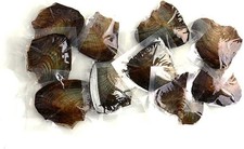 10 PC Freshwater Cultured Pearl Oyster Oval Pearls with White/Pink/Purple/bla...