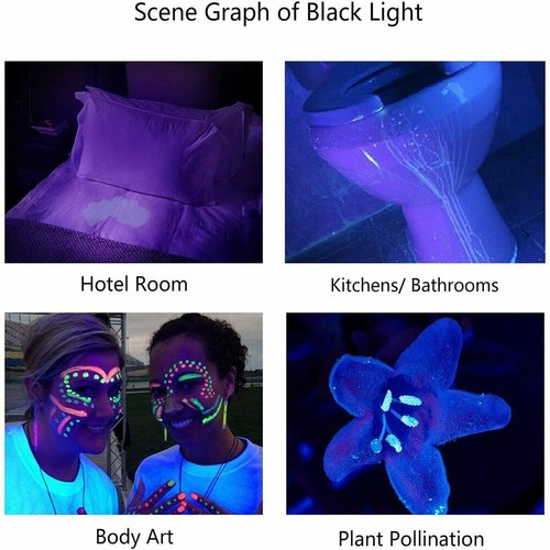 UV Taschenlampe Schwarzlicht Taschenlicht 395nm Bernstein Handlampe 21 LED - Bild 8 von 13