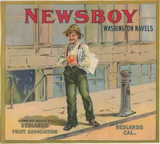 Newsboy Brand VINTAGE Redlands California Orange Crate Label 1900-1910 Authentic