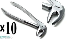 10× Surgical Dental Extracting Mead Forceps MD3 Lower Incisors Teeth Instruments