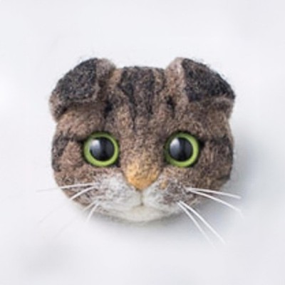 DIY Wool Needle Felting Kit with Basic Needle Felting Tools,Video Tutorial,Ea...