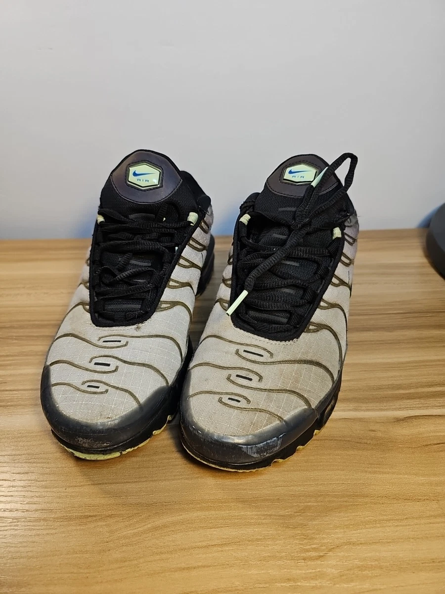 Nike Air Max Plus Future Swoosh for Sale | Authenticity Guaranteed