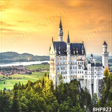 Cityscape 10'x10' Computer/digital Vinyl Scenic Photo Background Backdrop BHF923