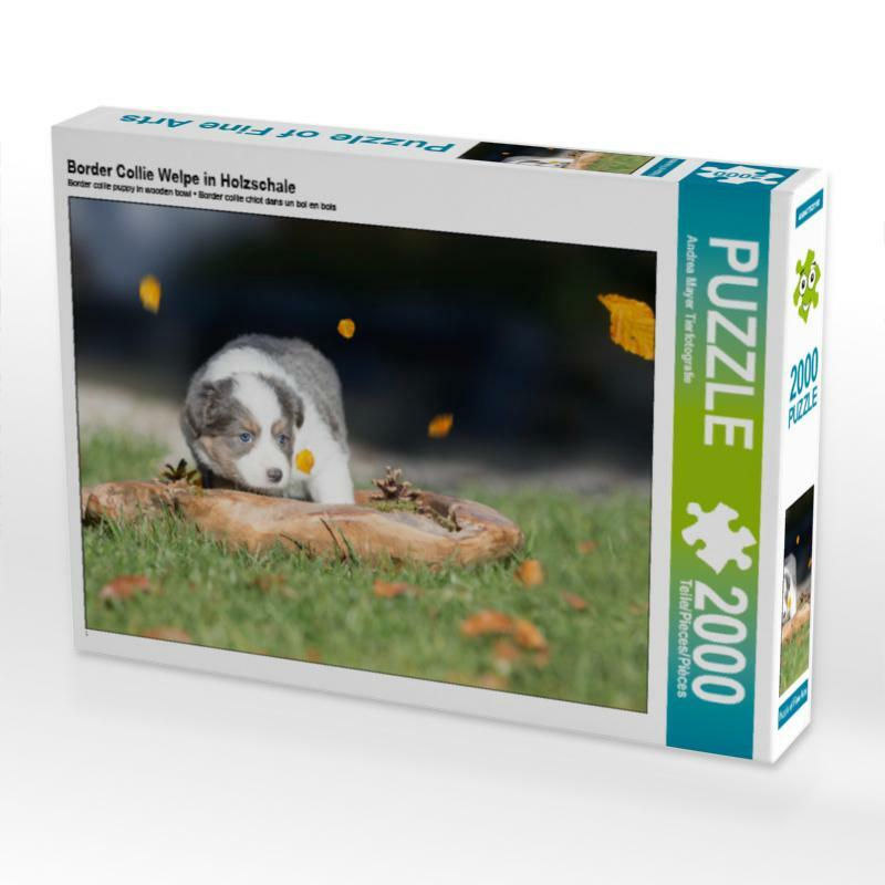 Border Collie Welpe in Holzschale 2000 Teile Lege-Größe 90 x 67 cm Foto-Puzzle Border Collie Welpe in Holzschale 2000 Teile Lege-Größe 90 x 67 cm Foto-Puzzle
