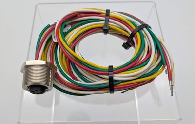 Turck RKFP 56-3M/CS11894 7/8'' Mini-Fast Female to Bare Wire 3 Meter Length