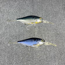 LIVETARGET Gizzard Shad Crankbait GZC70M 2.75...
