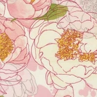 Darling Peony By Robin Pickens For Moda- Cream Large Peonies   #48790-11