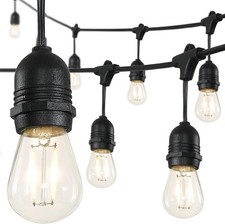 15-Light Indoor/Outdoor 48 ft. Plug-in Edison Bulb Shape String Light Rustic LED