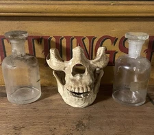 Old Faux Child Size Human Skull Sections - Very Unusual ￼