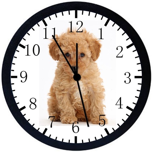 Cute Poodle Puppy Black Frame Wall Clock Nice For Decor or Gifts F20 - 第 1/1 張圖片