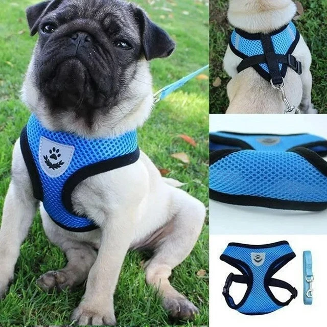 Dog Harness Cat Harness No Pull Comfort Padded Vest with Leash Size M