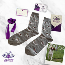 IRISH RED & WHITE SETTER DOG PRINT SOCKS UNISEX ONE SIZE FIT UK 5 - 11 EU 38 -46