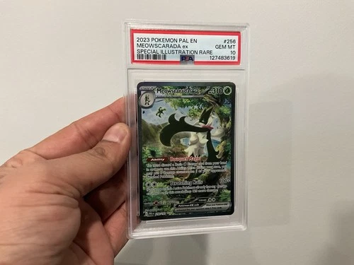 Pokémon Paldea Evolved Meowscarada EX Sir #256 PSA 10