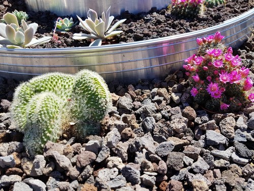 AluDesign 10cm Metall Rasenkante Alu Randbefestigung Beeteinfassung Mähkante - Bild 9 von 12