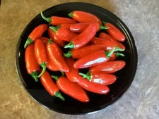 Jalapeno pepper seeds, 100 seeds, organically grown