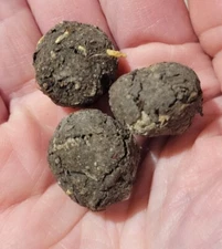 Midwest Wildflower Seed Balls Bombs Annual/perennial Premium Organic Seed Mix 