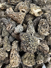 Dried Morel Mushrooms 1 oz. 2026 Harvest NEW