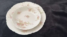 Haviland Co. Limoges France set of 2 pieces