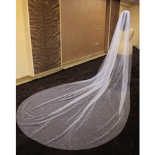 bridal beaded veil with scattered pearls veil with comb