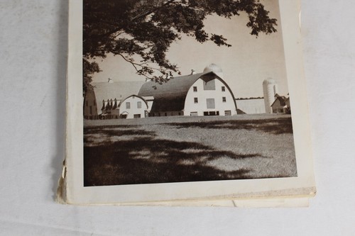 Guernsey Breeders Journal March 7, 1951 Cow Calf Bull Farms Cattle Dairy Ads - Picture 2 of 24