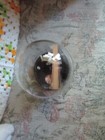 Small Cloche Dome w/ Dark Spirit Book, White Skull, Orange, White Crystal Ball — photo 6