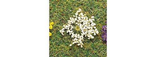 Faller H0 / TT 171830 Premium Flores Naturales Blanco | Zustand: Neu