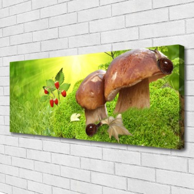 Leinwand-Bilder Wandbild Canvas Kunstdruck 125x50 Pilze Gras Walderdbeeren Natur