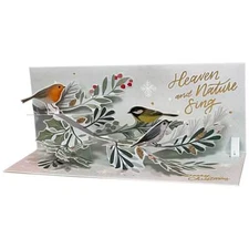 Winter Birds on Pine and Holly Branches 3D Pop-Up Christmas Card