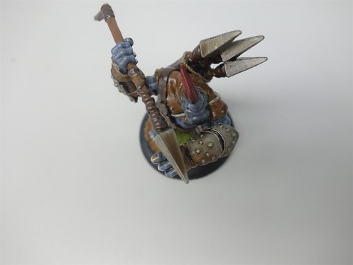 Hordas: Trollkin - Empalador Troll (Prensa Privada) - Imagen 4 de 8
