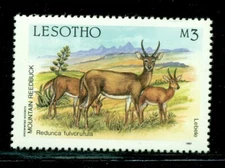 Lesotho Scott #590 MNH Mountain Reedbuck 3m Fauna $$