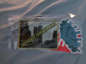 supreme ss19 week 18