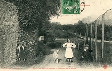 Carte SURESNES Le Mont Valérien Chemin de la Motte Enfants avec la biquette