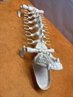 G - MOTU Vintage He-Man 1984 BATTLE BONES  Action Figure Carrier