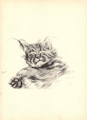 Lucy Dawson Sleeping Cat Kitten Print Wall Art Decor Cat Illustration 6925b