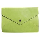 Dolce&Gabbana Funda Tablet Verde Piel Bolso de Mano Clutch Mini Bolso Bolsa