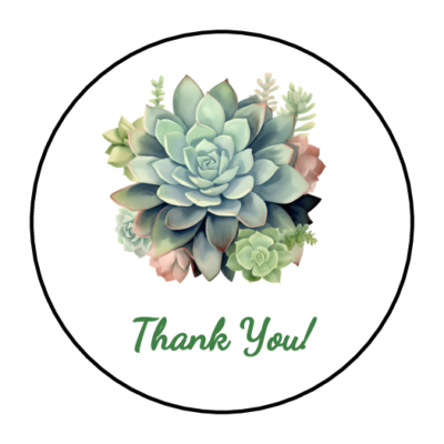 30 Succulent plant thank you envelope seals, stickers labels, tags, round |  eBay