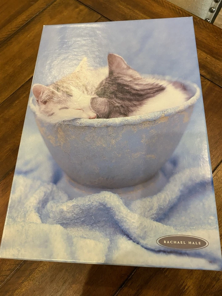 Caja de almacenamiento de recuerdo de cartón foto vintage de Rachael Hale azul gatitos gatos Foto 2 de 4