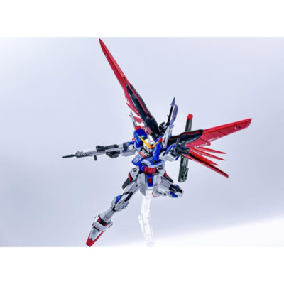 Rg 1/144 Destiny Gundam Titanium Finish | eBay