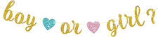 Boy or Girl Banner - Gender Reveal Party Bunting Decor - He or She Baby Shower -