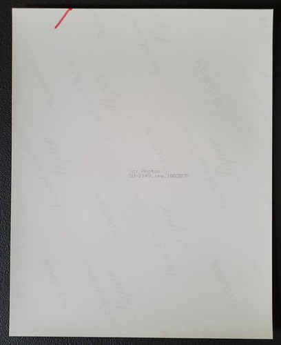 Foto ufficiale pix BUNNY PADME con licenza 8x10 clone wars 2006 star TABOR - Foto 4 di 6