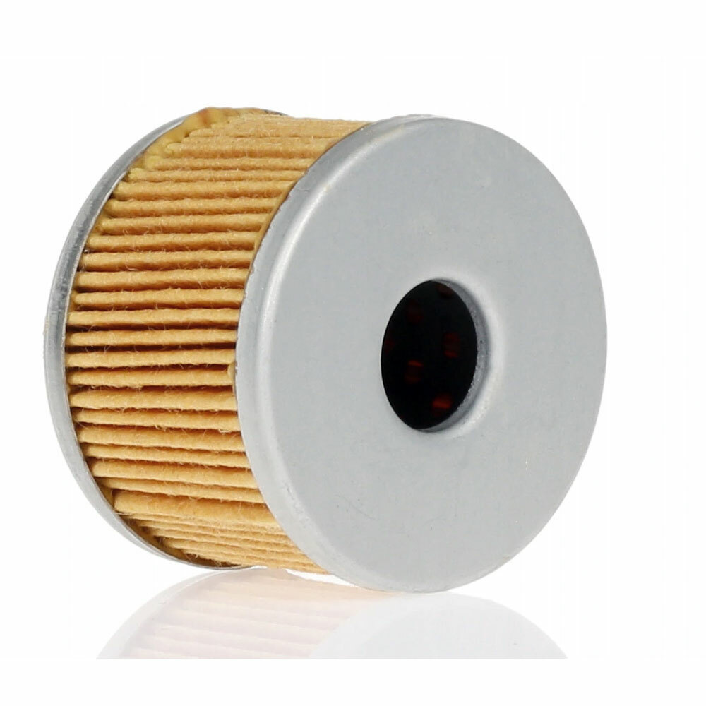 Benelli 169124320000 Filtro Olio Originale Per BN125 / TNT125 - Ricambio Ufficiale