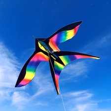 Kite Single Line Control Kiting