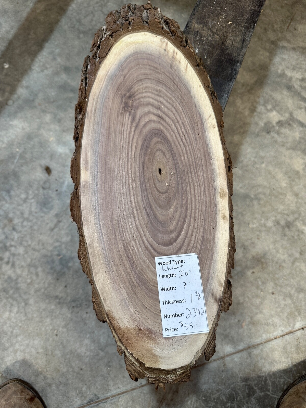 Black Walnut Live Edge Cookie Slab #2342 Unfinished with Free Shipping