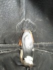 Bild 12 von 13