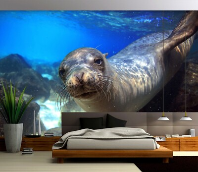 3D Cute Seal 4056 Wall Paper Wall Print Decal Deco Wall Mural CA Romy