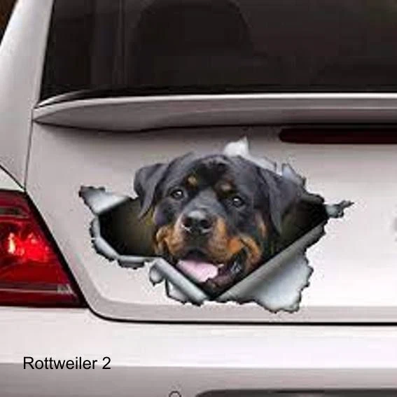 LARGE-SIZED CAR DECALS - ROTTWEILER - 2 CHOICES - Image 2 of 3