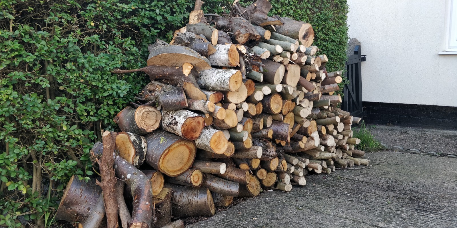 Fire Wood logs for Burner or fire pit Stove Collect from Clifton